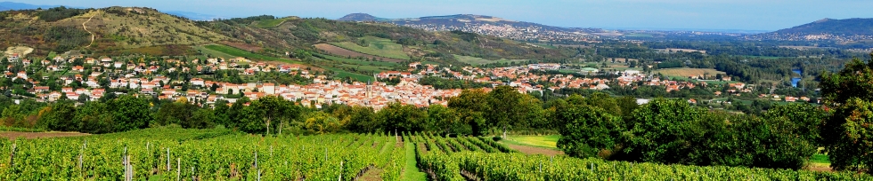 Vignes sur les Martres de Veyre