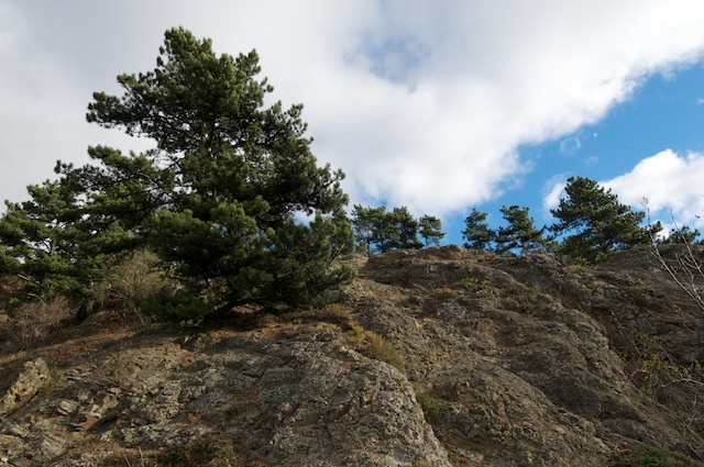 Puy de Marmant (Veyre-Monton) - © OT GVA Musée de site Maison de Gergovie mobilier archéologique - guerre des gaules - César - bataille - Vercingétorix - luern - celtillos - celtill - vergobret