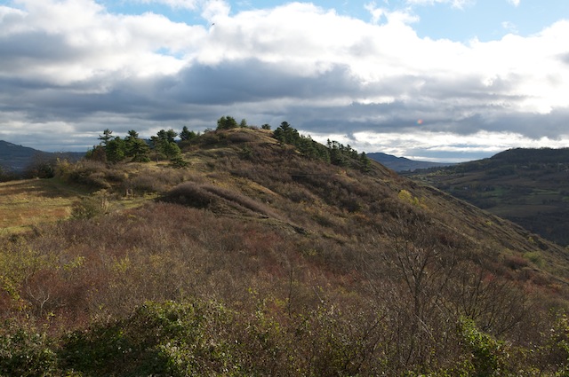 Musée de site Maison de Gergovie mobilier archéologique - guerre des gaules - César - bataille - Vercingétorix - luern - celtillos - celtill - vergobret