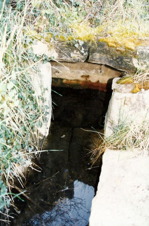 source-du-sail- mirefleurs - gergovie