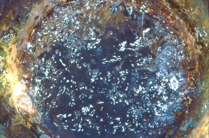 Source intermitante La Gargouillère - © Marc SAGOT guide-edp-gergovie - Arverniales - Gergovie - office de tourisme de Gergovie - sources thermales val d'Allier - archéologie - oppidum - arverne - Corent